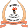 Mzumbe University