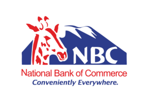 Relationship Manager – Mining Business Job Vacancy at NBC Bank