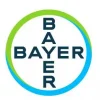 Bayer Job Vacancies