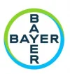Bayer Job Vacancies