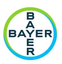 Bayer Job Vacancies