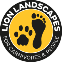 Lion Landscapes