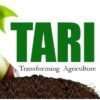 TARI