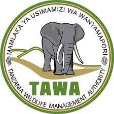 TAWA Job Vacancies, 200+Positions | July 2025