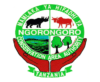 Ngorongoro Conservation Area Authority