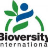 Alliance of Bioversity International Job Vacancies