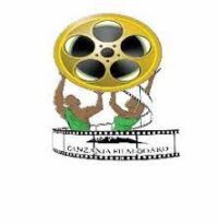 Tanzania Film Board