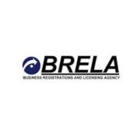 Brela Tanzania Job Vacancies