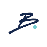 Bolt Talent Solutions
