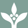 Hanns R. Neumann Stiftung (HRNS)