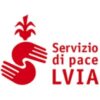 Lay Volunteers International Association