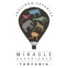 Miracle Experience Job Vacancies