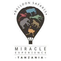 Miracle Experience Job Vacancies