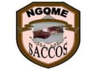 Ngome Saccos Limited
