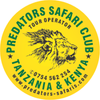 Predator Safaris