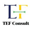 TEF Consult Job Vacancies