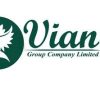 Vian Group Company Limited Job Vacancies