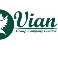 Vian Group Company Limited Job Vacancies