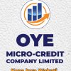 OYE Microcredit Co. LTD Job Vacancies