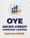 OYE Microcredit Co. LTD Job Vacancies