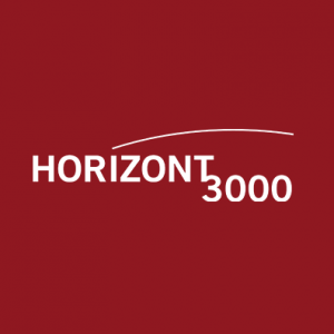 Consultancy at Horizont3000