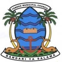 Temeke Municipal Council Job Vacancies, 17 Positions | July 2025